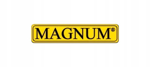 Półautomat spawalniczy MIG/MAG, MMA, TIG Magnum 40-200 A 230 V