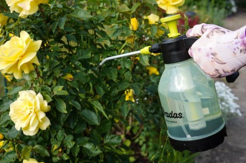 BRADAS OPRYSKIWACZ RĘCZNY "AQUA SPRAY" 2,0l CLEAR