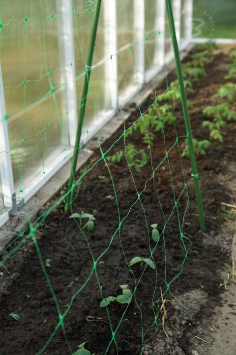 BRADAS SIATKA PODPORA DO ROŚLIN PNĄCYCH PLANT NET 2x20m