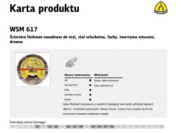 KLINGSPOR ŚCIERNICA LISTKOWA 125 P 40 WSM617