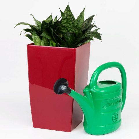 PROSPERPLAST KONEWKA SPRING 3l ZIELONA .