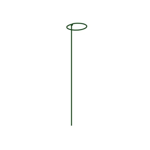 BRADAS PODPORA Z OCZKIEM DO ROŚLIN 7cm / 60cm