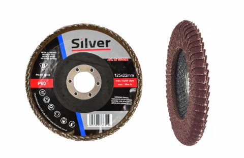 SILVER ŚCIERNICA LISTKOWA DO SPOIN 125 P 80