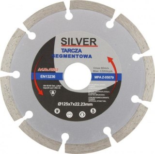 SILVER TARCZA DIAMENTOWA 125 SEGMENTOWA .