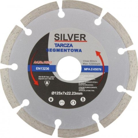 SILVER TARCZA DIAMENTOWA 125 SEGMENTOWA .