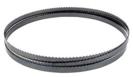 DEWALT BRZESZCZOT PIŁ TAŚMOW. 690mm 18TPI DO DCS377 3-PAK